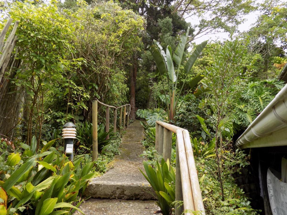 Protea Guest House Knysna Kültér fotó