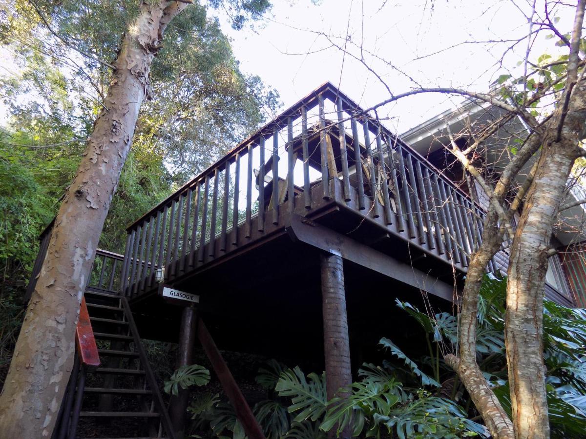 Protea Guest House Knysna Kültér fotó