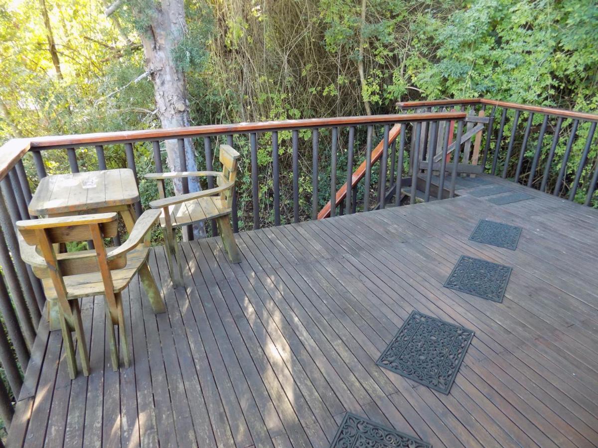 Protea Guest House Knysna Kültér fotó