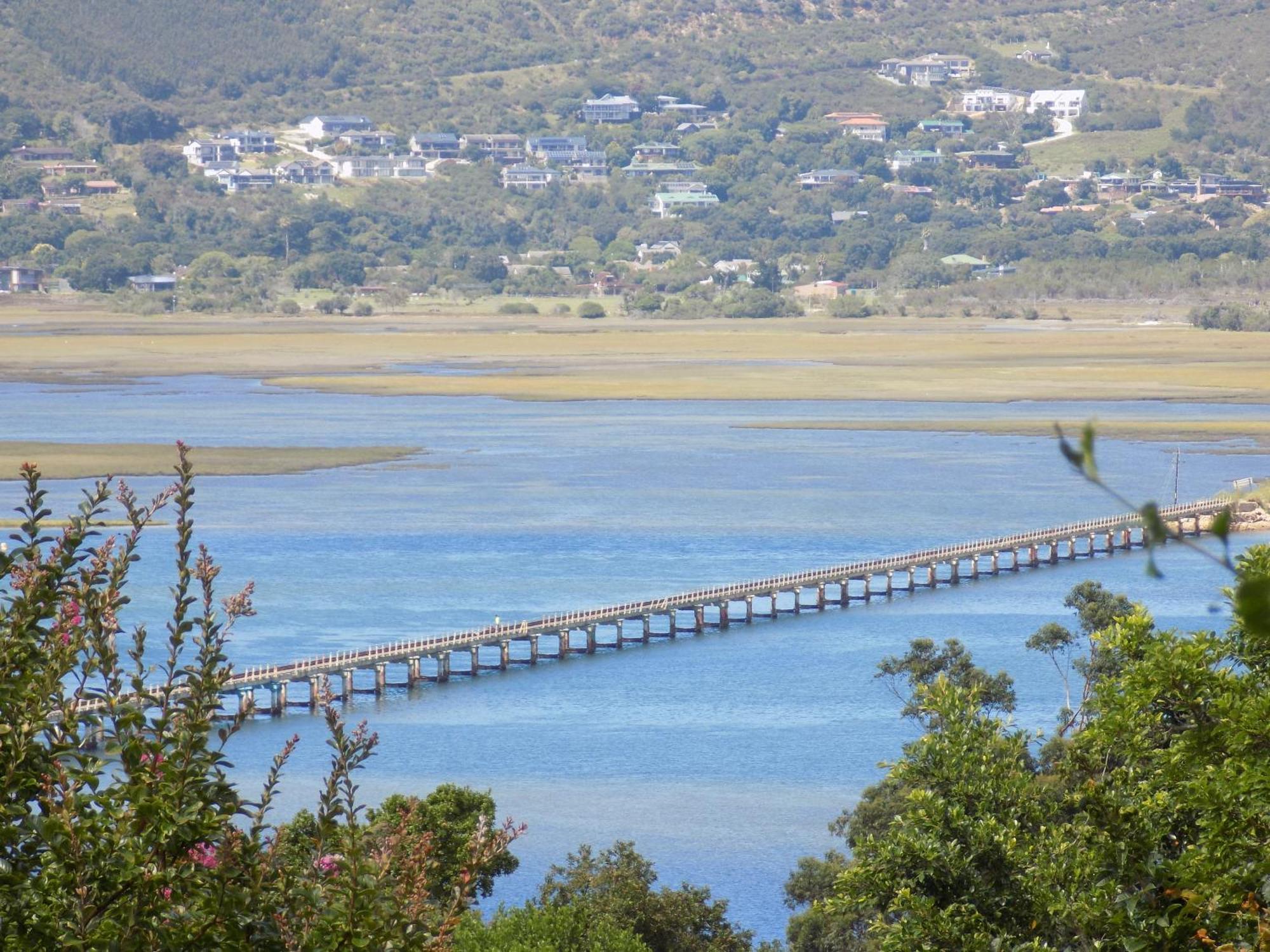 Protea Guest House Knysna Kültér fotó