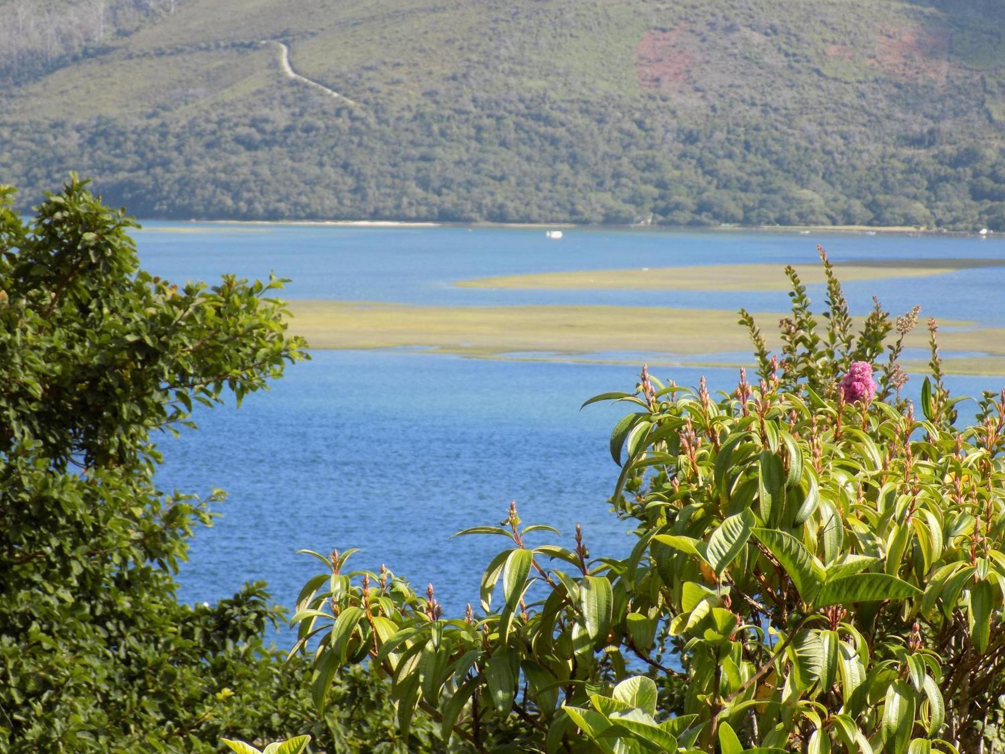 Protea Guest House Knysna Szoba fotó